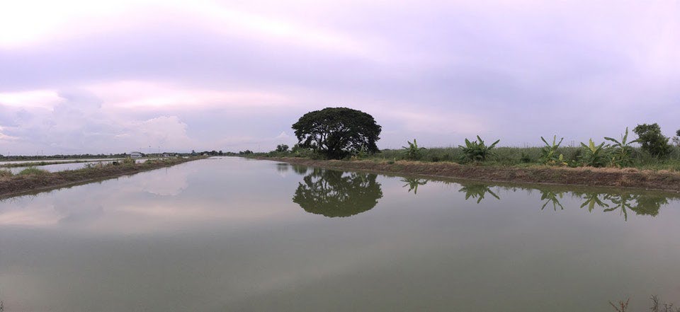 Wareepirom Park