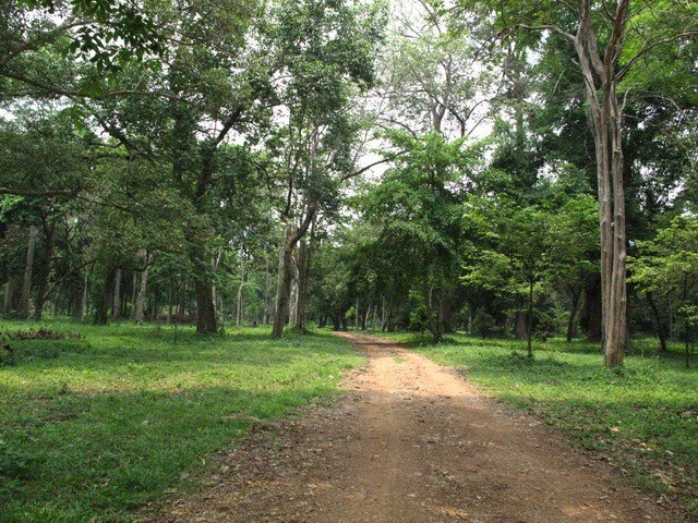 location Park - Pu kare