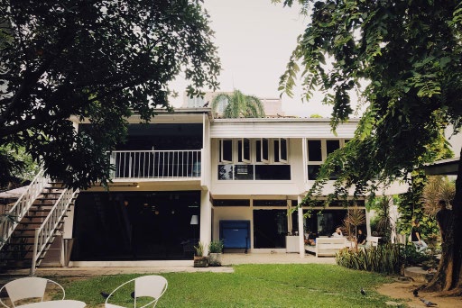 20 cat House Studio