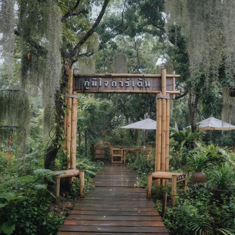 Nature Cafe Near Bangkok