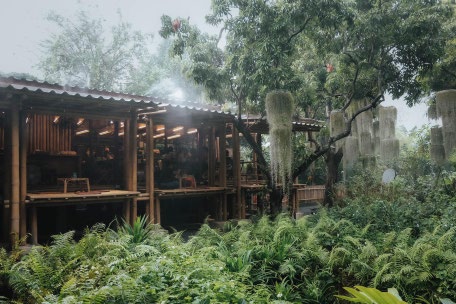 Nature Cafe Near Bangkok