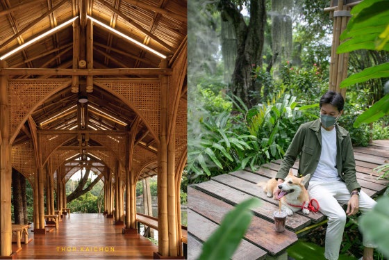 Nature Cafe Near Bangkok