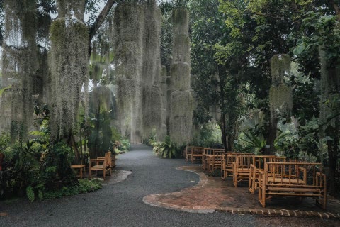 Nature Cafe Near Bangkok