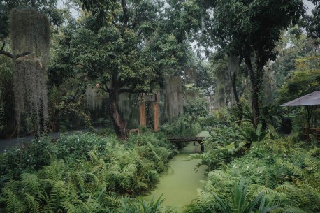 Nature Cafe Near Bangkok