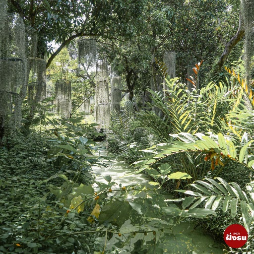 Nature Cafe Near Bangkok