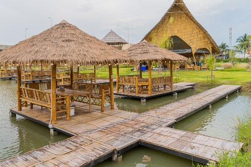 Rice Field View Cafe Nakhon Pathom