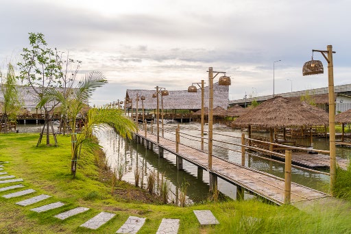 Rice Field View Cafe Nakhon Pathom