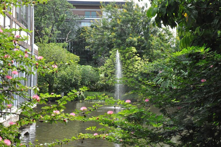 The Pud English Garden