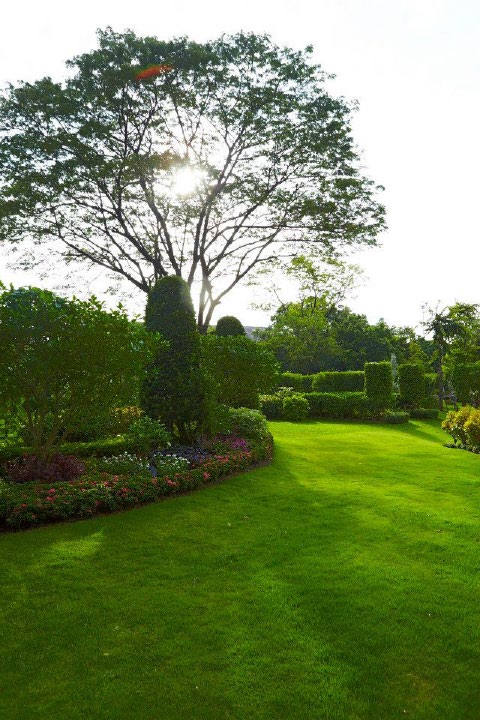 The Pud English Garden