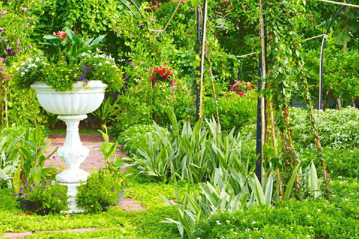 The Pud English Garden