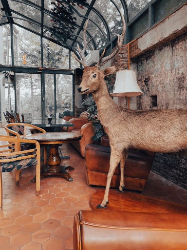 Tsai Eatery