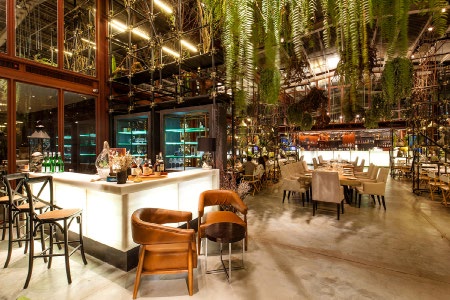 Vivarium Cafe & Restaurant