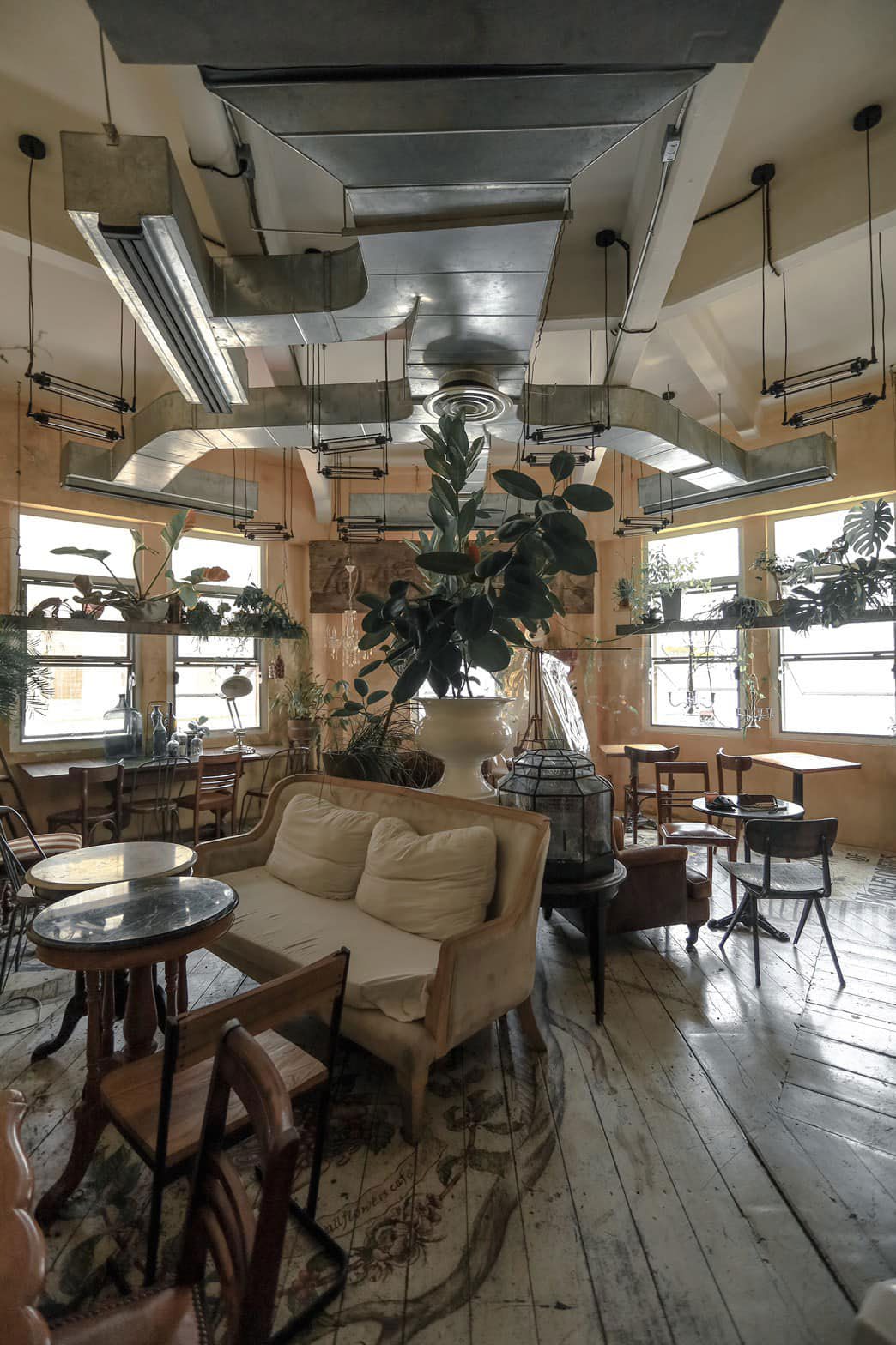 Wall Flower cafe  Bkk