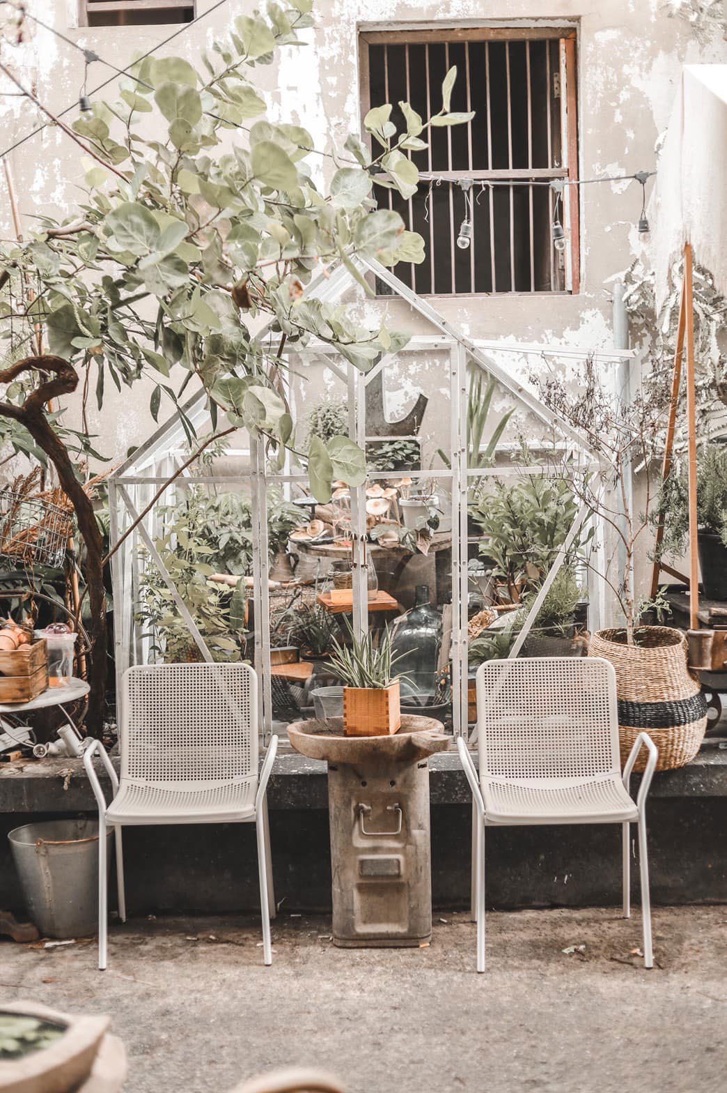 Wall Flower cafe  Bkk