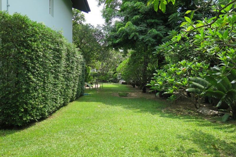 Tang House