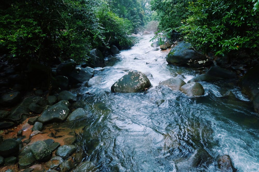 Pliw waterfall