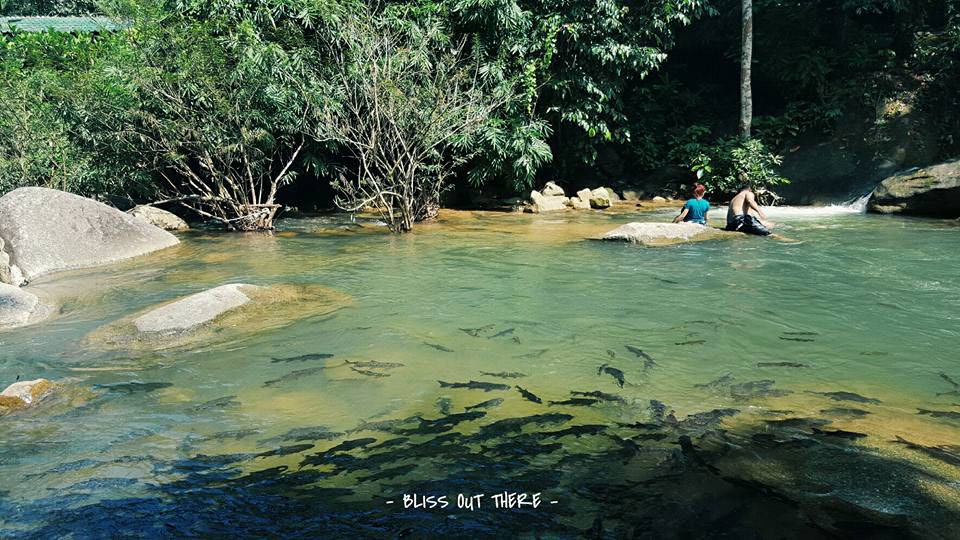 Pliw waterfall