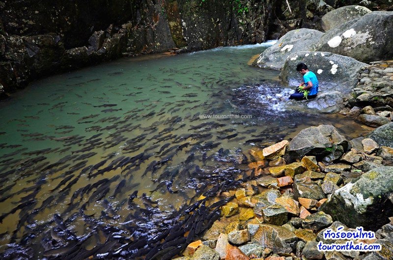 Pliw waterfall