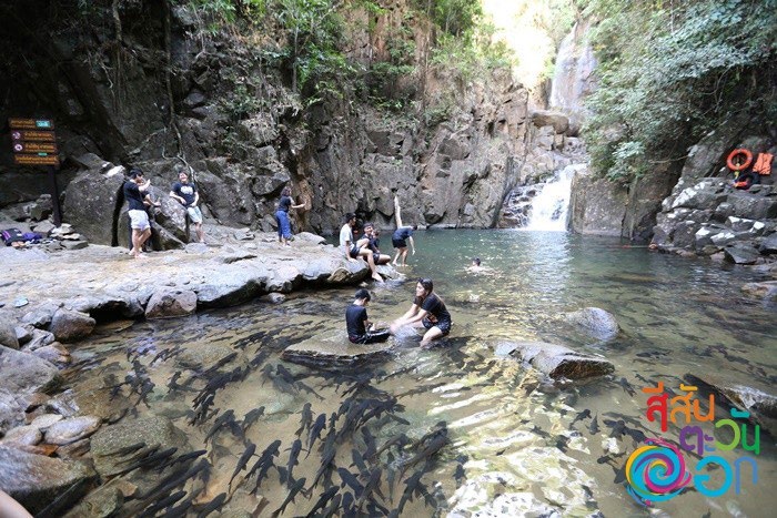 Pliw waterfall