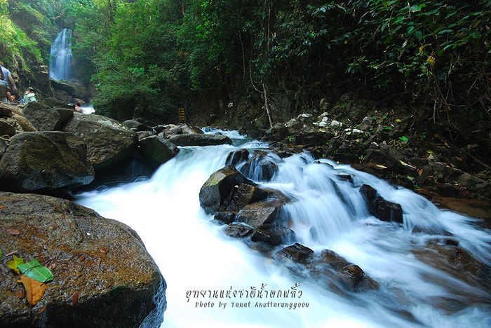 Pliw waterfall