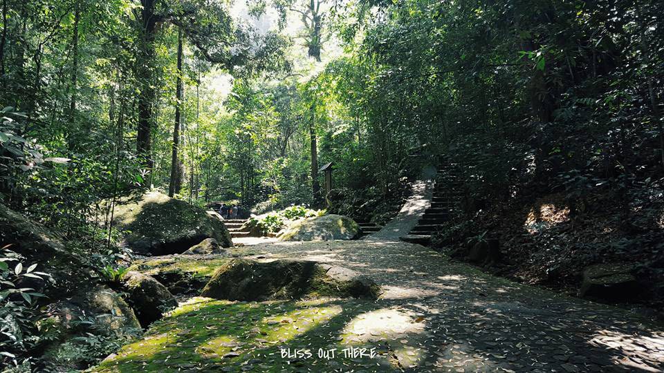 Pliw waterfall
