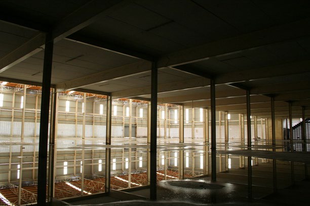 Vigrom warehouse (Empty Warehouse)