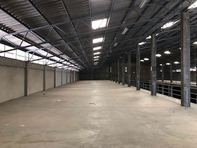 Warehouse Imperial Thaitoy 3