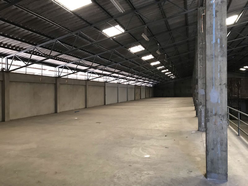 Warehouse Imperial Thaitoy 3