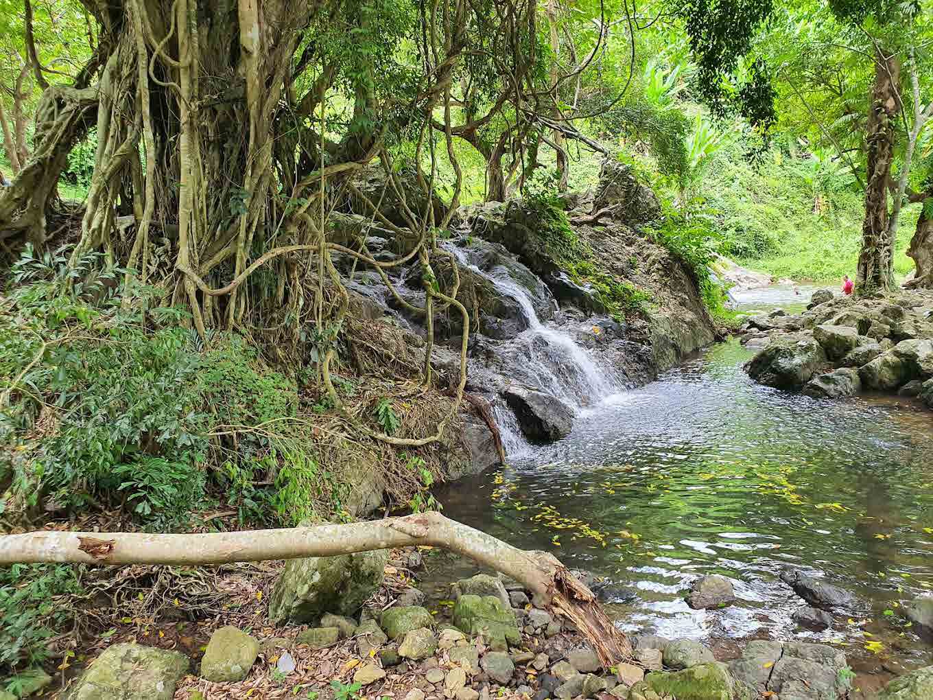 Sarika Waterfall Nakhonyok
