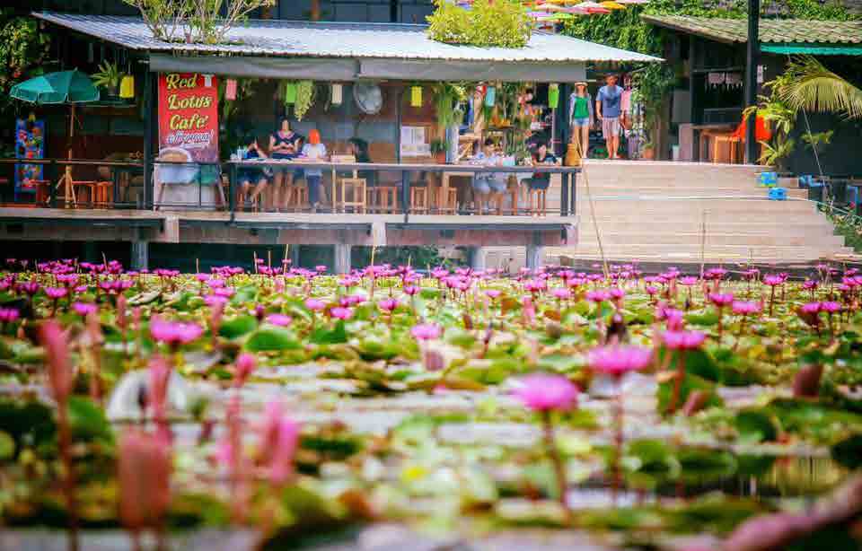 Red Lotus Floating Market