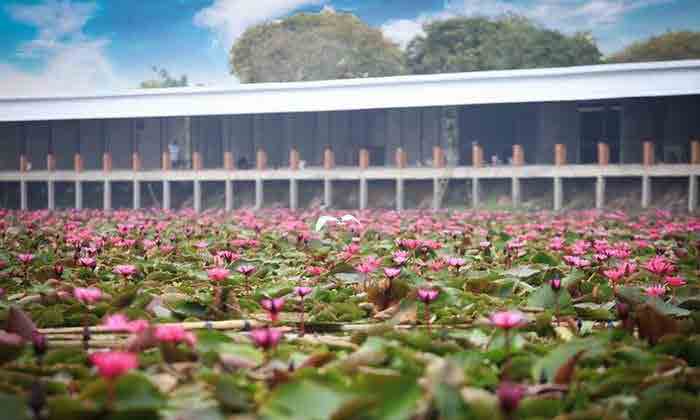 Red Lotus Floating Market