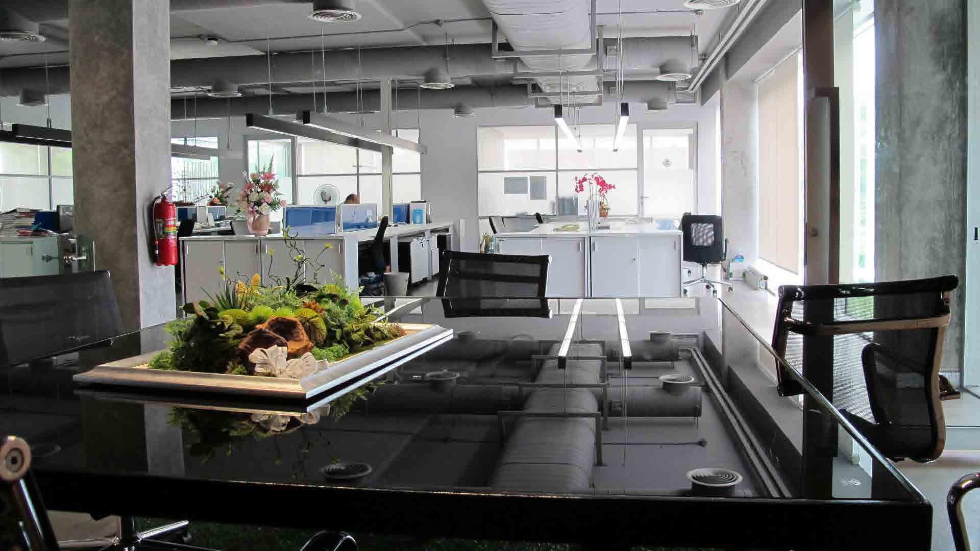 Office - Pas 409