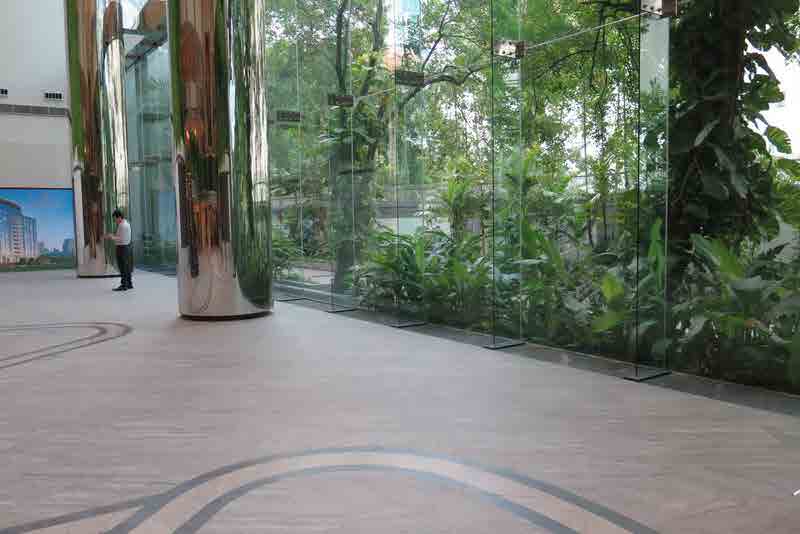 Sinithorn office