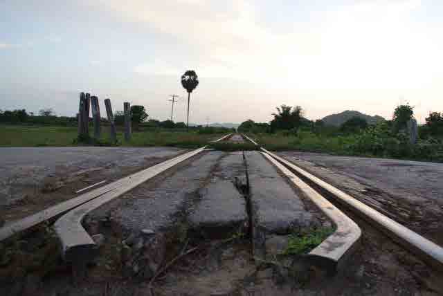 RAIL GREEN GRASS