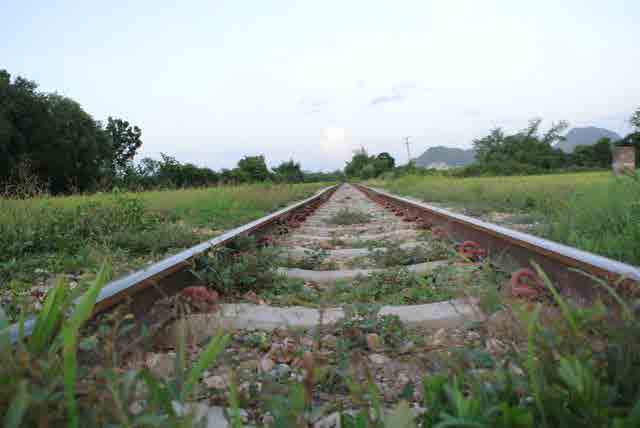 RAIL GREEN GRASS