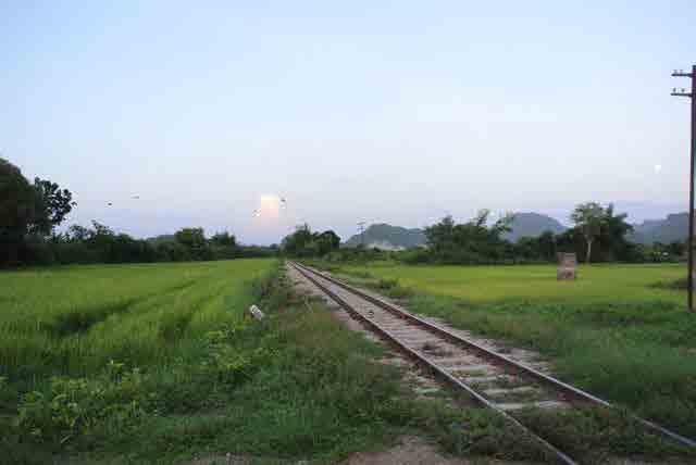 RAIL GREEN GRASS