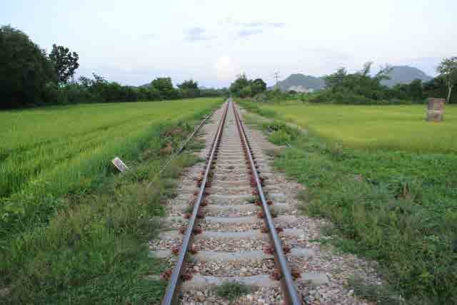 RAIL GREEN GRASS