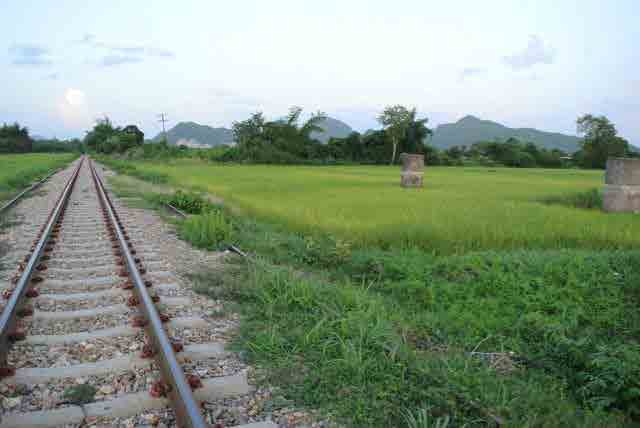 RAIL GREEN GRASS