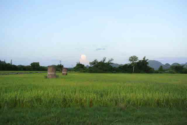 RAIL GREEN GRASS