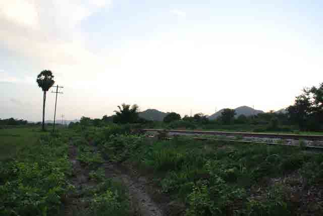 RAIL GREEN GRASS