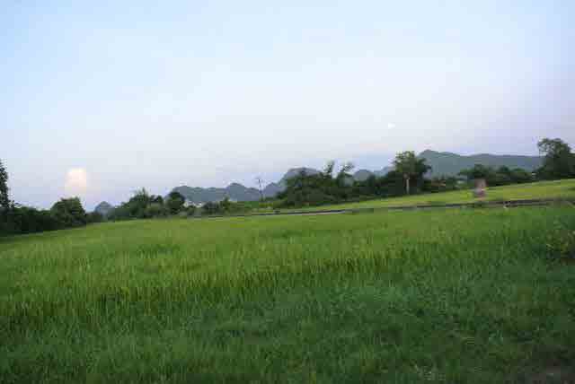 RAIL GREEN GRASS