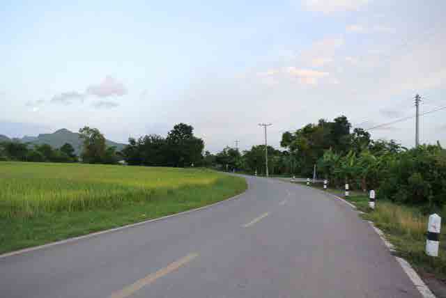 RAIL GREEN GRASS