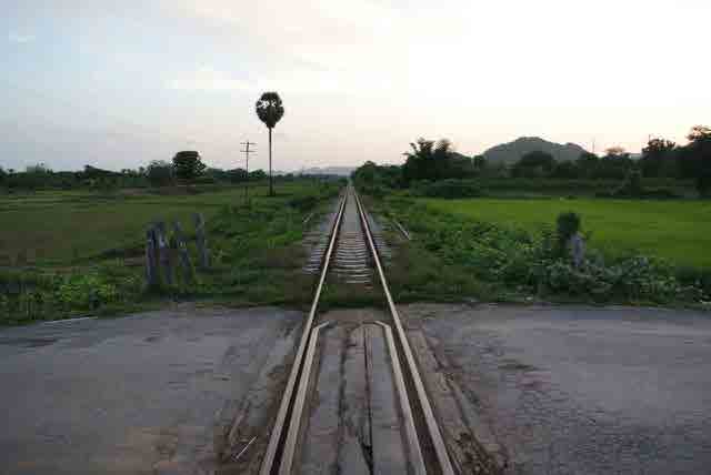 RAIL GREEN GRASS