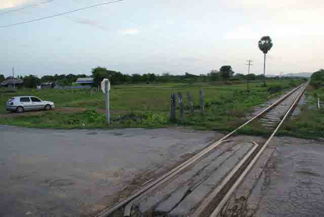 RAIL GREEN GRASS