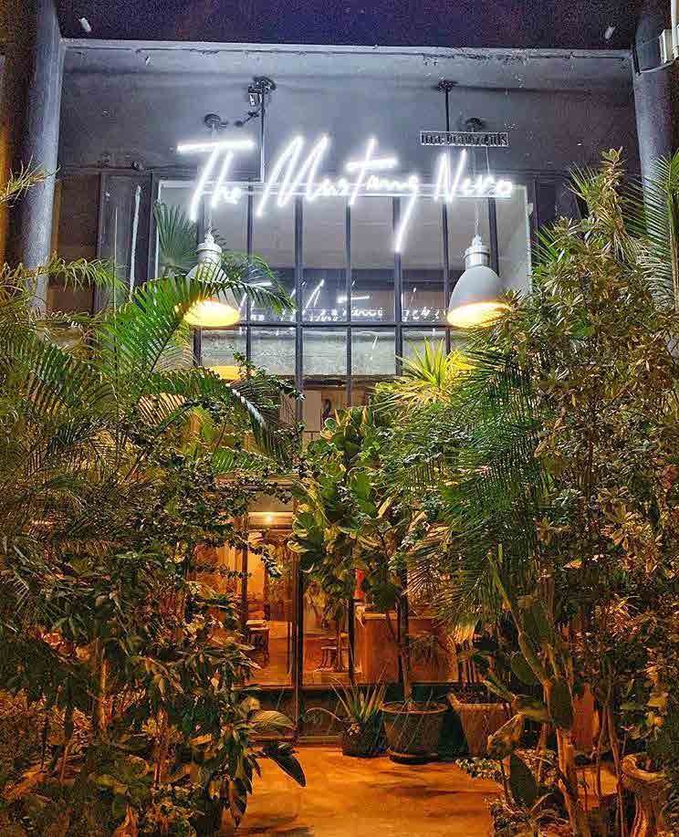 Mustang Nero Hotel