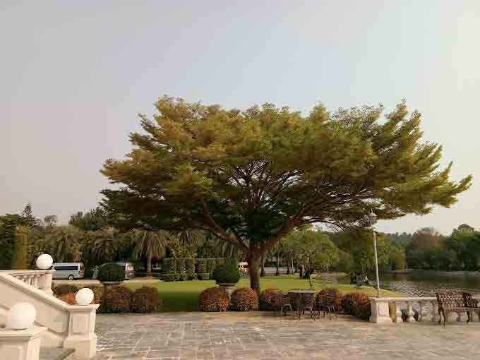 P V Palace