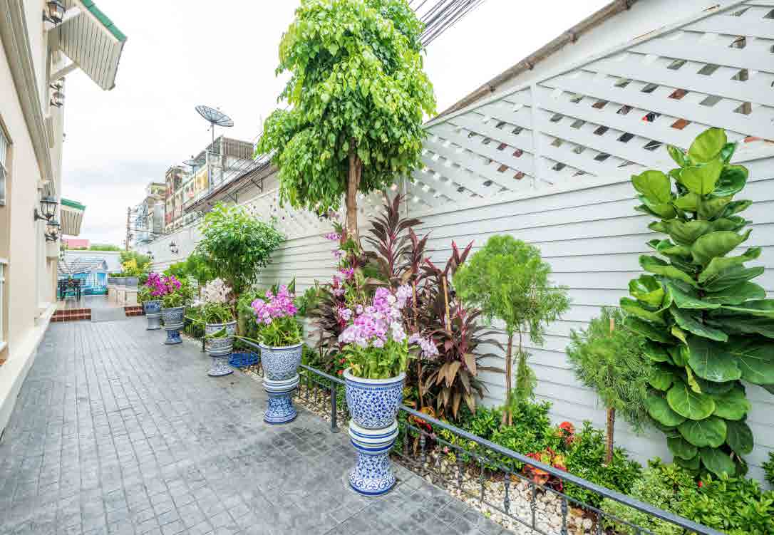 The Orchid House 153