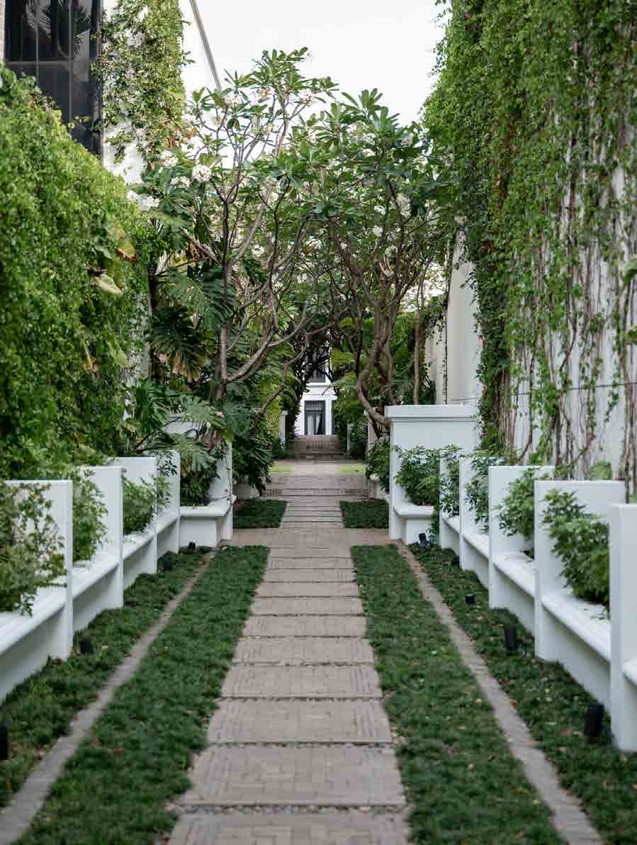 The Siam