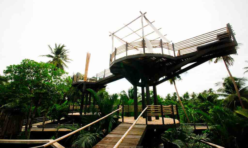 Tree house BKK