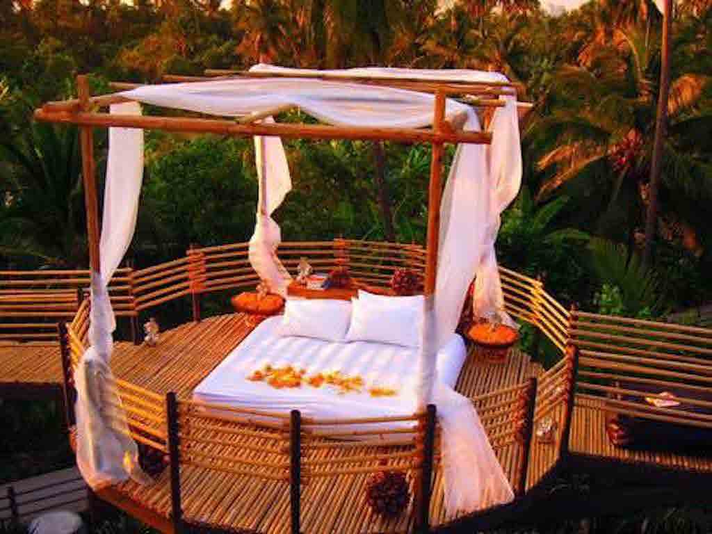 Tree house BKK